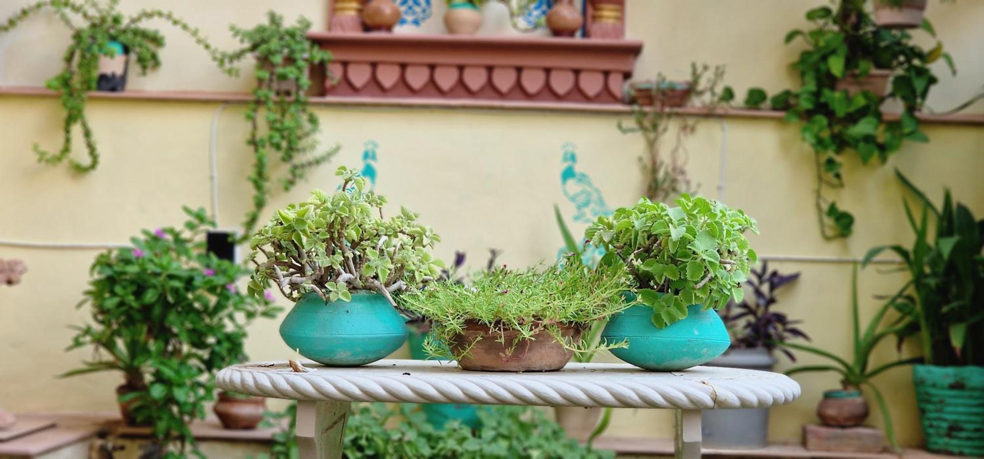 Ferienwohnung Harsidhi Haveli Bikaner Exterior foto